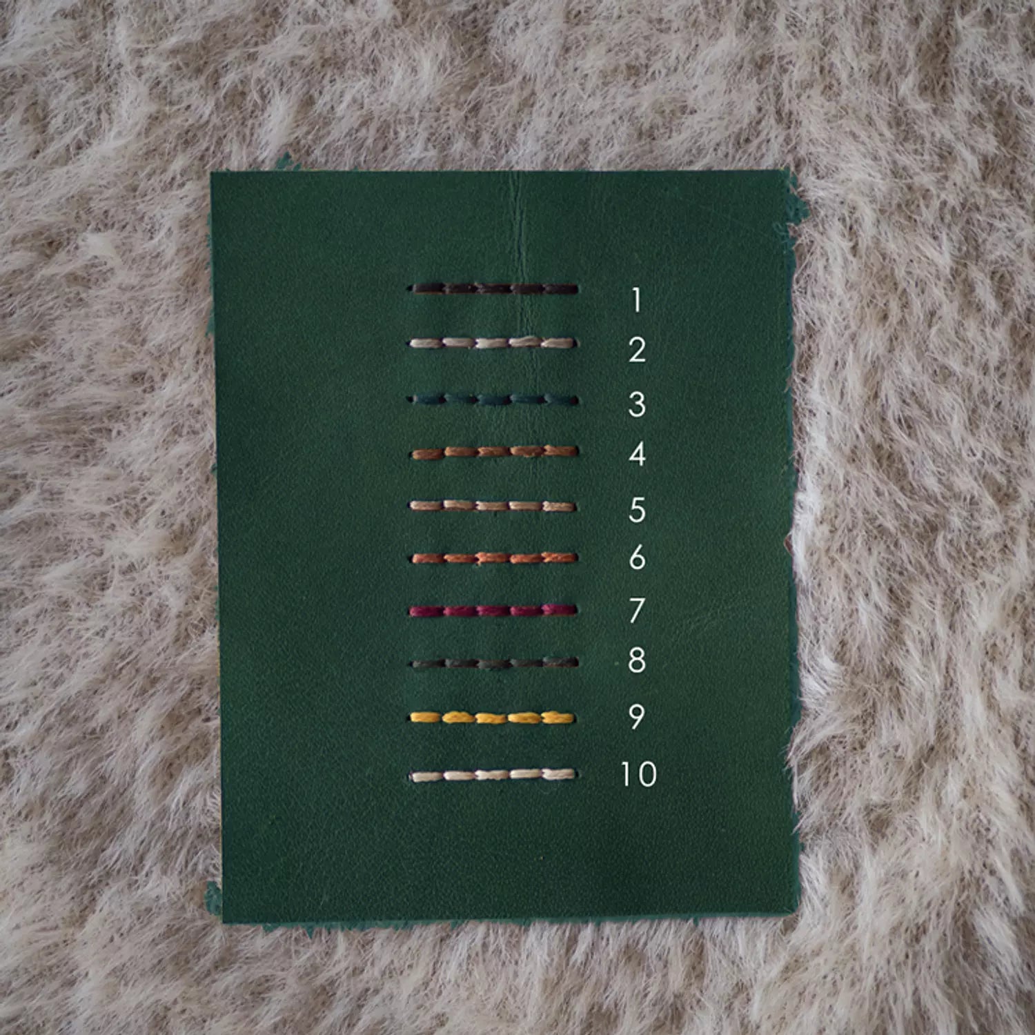 Passport Holder