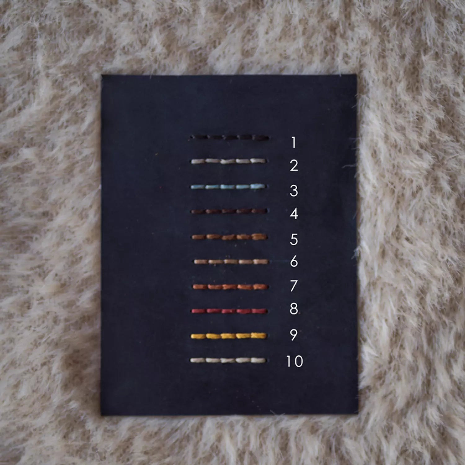Passport Holder