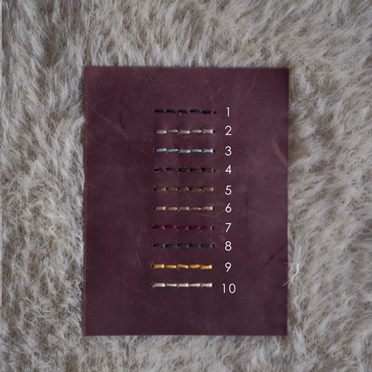 Passport Holder